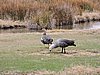 DSCN7535.JPG