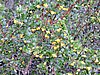 DSCN7542.JPG