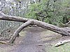 DSCN7544.JPG