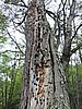 DSCN7545.JPG