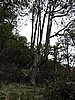 DSCN7546.JPG