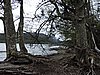 DSCN7547.JPG