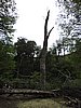 DSCN7548.JPG