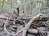 DSCN7550.JPG
