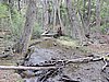 DSCN7551.JPG