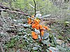 DSCN7554.JPG