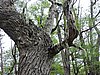 DSCN7556.JPG