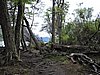 DSCN7559.JPG