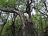 DSCN7560.JPG