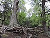 DSCN7561.JPG