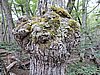 DSCN7562.JPG