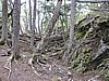 DSCN7568.JPG