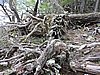 DSCN7569.JPG