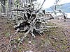 DSCN7574.JPG