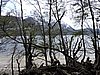 DSCN7576.JPG