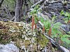 DSCN7579.JPG