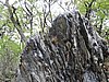DSCN7580.JPG