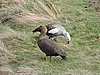 DSCN7585.JPG