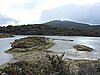 DSCN7591.JPG