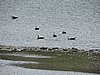 DSCN7592.JPG