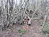 DSCN7593.JPG