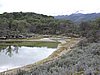 DSCN7595.JPG