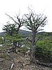 DSCN7598.JPG