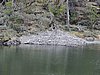DSCN7601.JPG