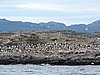 DSCN7607.JPG