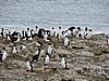 DSCN7609.JPG