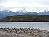 DSCN7611.JPG
