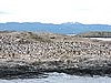 DSCN7614.JPG