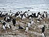 DSCN7616.JPG