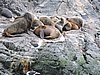 DSCN7627.JPG