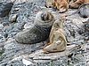 DSCN7646.JPG