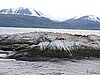 DSCN7648.JPG