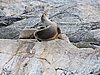 DSCN7650.JPG