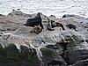DSCN7652.JPG