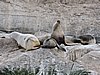 DSCN7653.JPG
