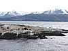DSCN7654.JPG
