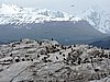 DSCN7663.JPG