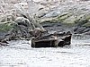 DSCN7664.JPG