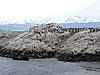 DSCN7667.JPG