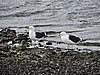 DSCN7681.JPG