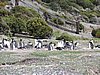 DSCN7688.JPG