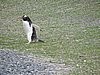 DSCN7690.JPG