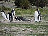 DSCN7692.JPG