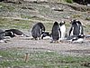 DSCN7693.JPG