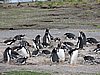 DSCN7695.JPG