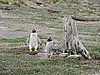 DSCN7696.JPG